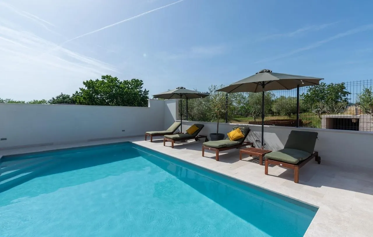 Villa An With Private Pool Umag Croatia